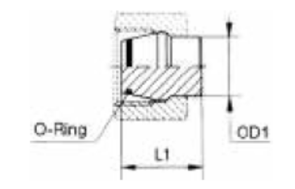 Picture of Metric Hydraulic Adaptors - Plug